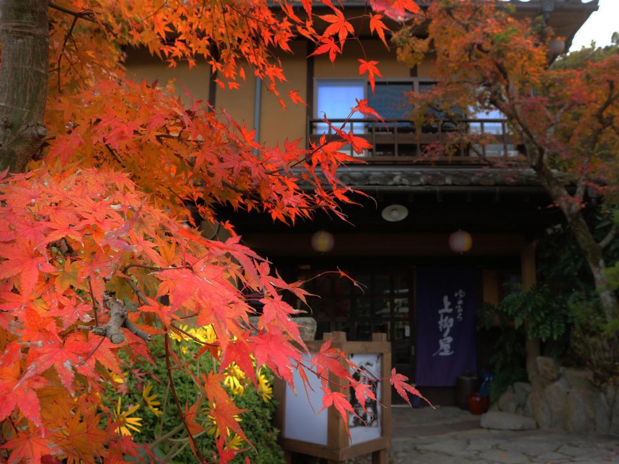 Отель Yunohira Kamiyanagiya Юфу Экстерьер фото